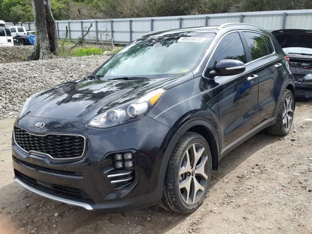 KNDPR3A64H7162533 - 2017 KIA SPORTAGE S BLACK photo 2