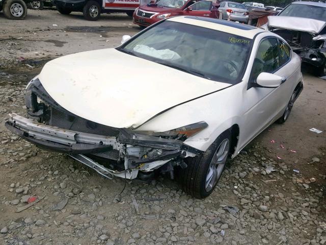 1HGCS2B80BA000827 - 2011 HONDA ACCORD EXL WHITE photo 2