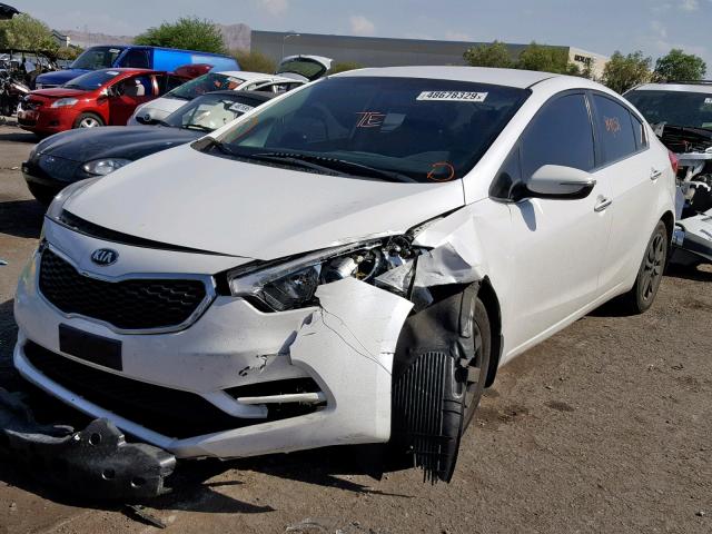 KNAFX4A88E5116488 - 2014 KIA FORTE EX WHITE photo 2