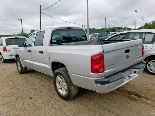 1D7RW3GKXBS661594 - 2011 DODGE DAKOTA SLT SILVER photo 3