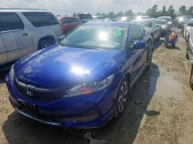 1HGCT1A34GA008157 - 2016 HONDA ACCORD LX- BLUE photo 2