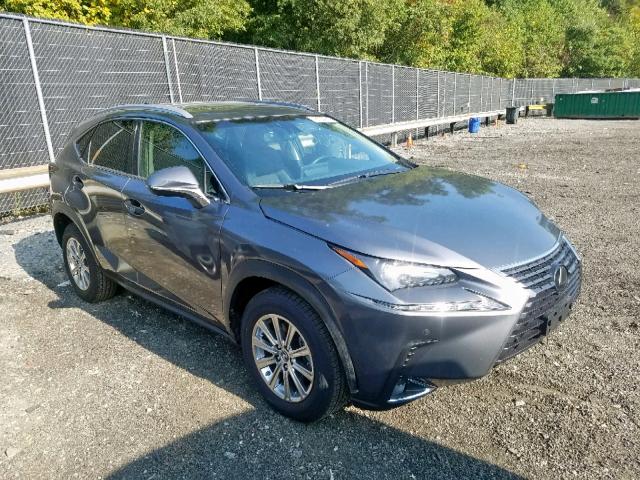 JTJBARBZ6K2185570 - 2019 LEXUS NX 300 GRAY photo 1