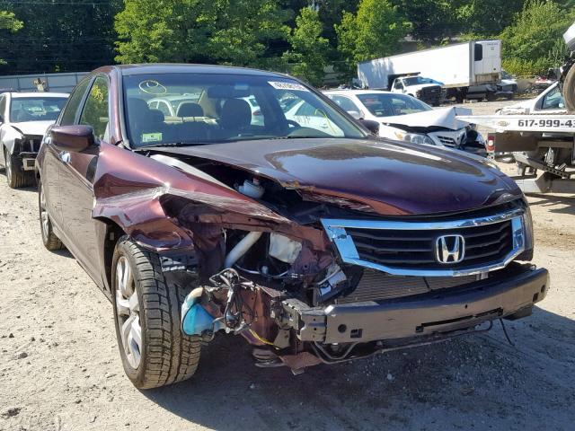 5KBCP3F83AB006953 - 2010 HONDA ACCORD EXL BURGUNDY photo 1