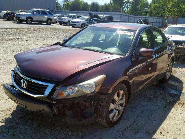 5KBCP3F83AB006953 - 2010 HONDA ACCORD EXL BURGUNDY photo 2