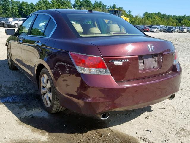 5KBCP3F83AB006953 - 2010 HONDA ACCORD EXL BURGUNDY photo 3