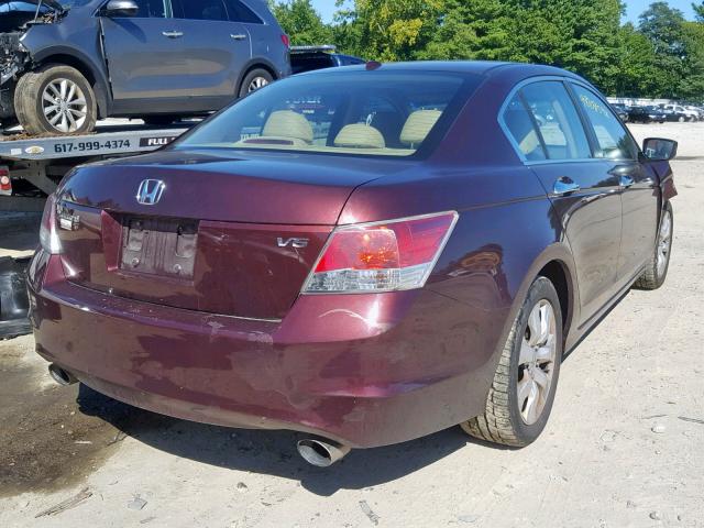 5KBCP3F83AB006953 - 2010 HONDA ACCORD EXL BURGUNDY photo 4