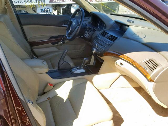 5KBCP3F83AB006953 - 2010 HONDA ACCORD EXL BURGUNDY photo 5