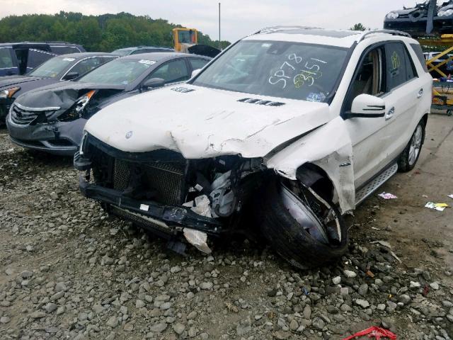 4JGDA5HB0CA065359 - 2012 MERCEDES-BENZ ML 350 4MA WHITE photo 2