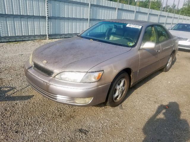 JT8BF22G3V0050653 - 1997 LEXUS ES 300 GOLD photo 2