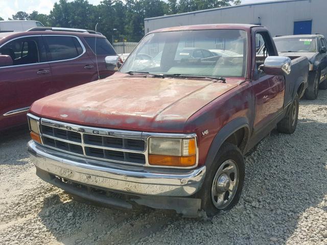 1B7FL26X1TS589585 - 1996 DODGE DAKOTA RED photo 2