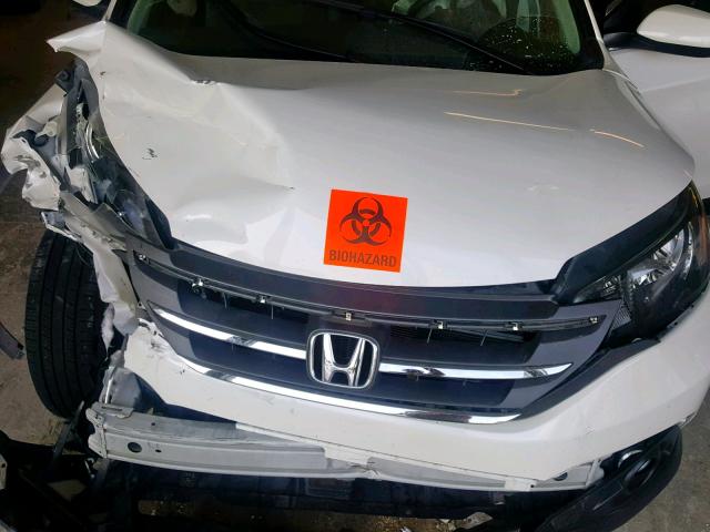 5J6RM4H76EL001562 - 2014 HONDA CR-V EXL WHITE photo 7