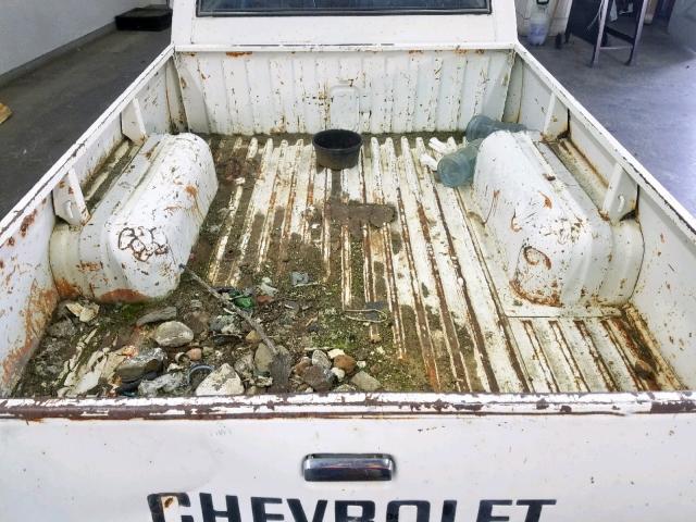 J8ZBL14S3C8203058 - 1982 CHEVROLET LUV WHITE photo 6