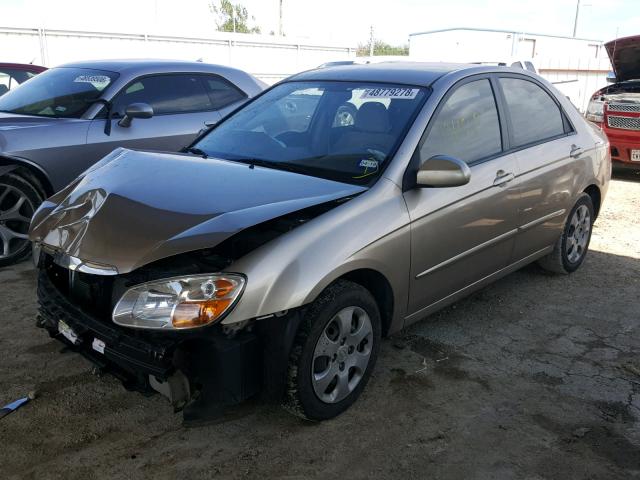 KNAFE221695588383 - 2009 KIA SPECTRA EX GOLD photo 2