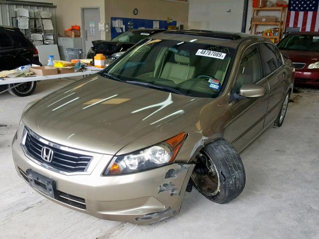 JHMCP26868C070547 - 2008 HONDA ACCORD EXL GOLD photo 2