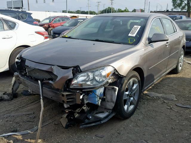 1G1ZC5EB9AF301881 - 2010 CHEVROLET MALIBU 1LT BEIGE photo 2