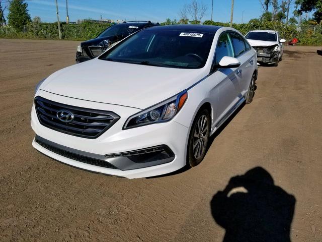 5NPE34AF6FH062375 - 2015 HYUNDAI SONATA SPO WHITE photo 2