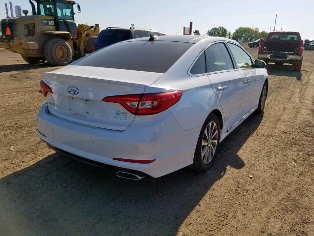 5NPE34AF6FH062375 - 2015 HYUNDAI SONATA SPO WHITE photo 4