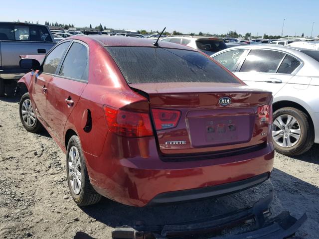 KNAFU4A21A5294421 - 2010 KIA FORTE EX RED photo 3