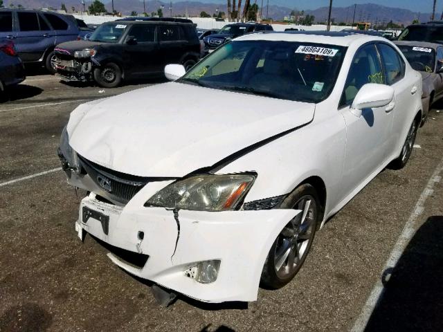 JTHBK262182061167 - 2008 LEXUS IS 250 WHITE photo 2