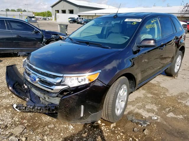 2FMDK4JCXDBC69506 - 2013 FORD EDGE SEL BURGUNDY photo 2