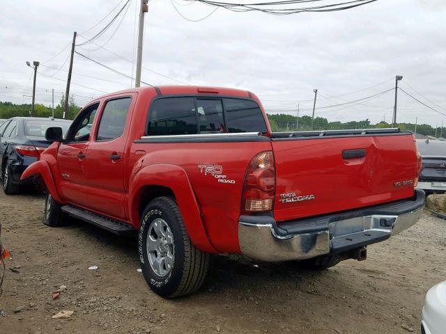 5TELU42N97Z429830 - 2007 TOYOTA TACOMA DOU RED photo 3