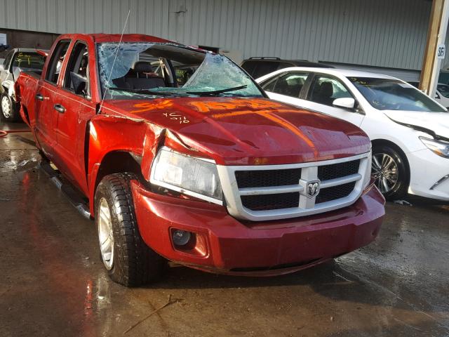 1D7RE3GK9BS656082 - 2011 DODGE DAKOTA SLT RED photo 1