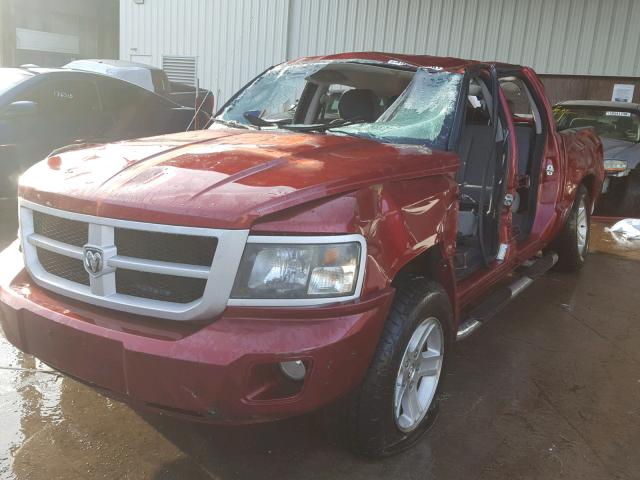 1D7RE3GK9BS656082 - 2011 DODGE DAKOTA SLT RED photo 2