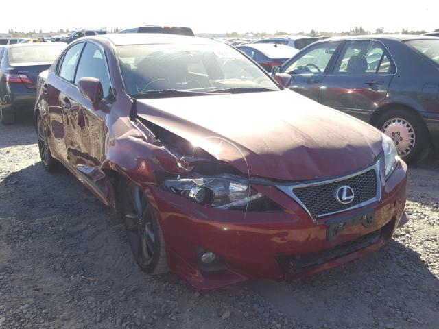 JTHBF5C23B5137097 - 2011 LEXUS IS 250 RED photo 1