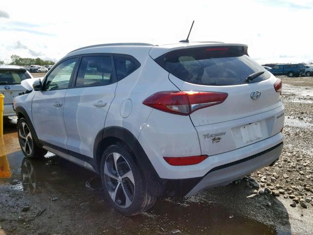 KM8J33A20HU316530 - 2017 HYUNDAI TUCSON LIM WHITE photo 3