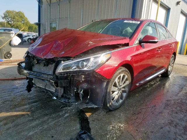 5NPE34AF6GH282049 - 2016 HYUNDAI SONATA SPO MAROON photo 2