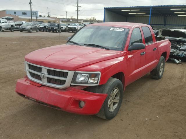 1D7CW3GK6AS235079 - 2010 DODGE DAKOTA SXT RED photo 2