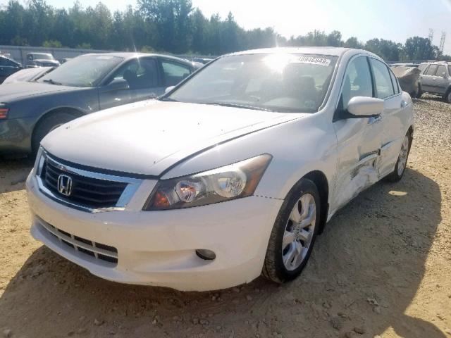 1HGCP36878A029218 - 2008 HONDA ACCORD EXL WHITE photo 2