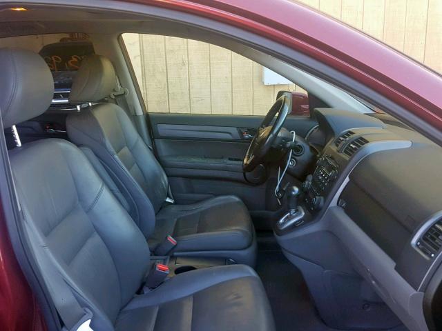 JHLRE48708C027228 - 2008 HONDA CR-V EXL BURGUNDY photo 5