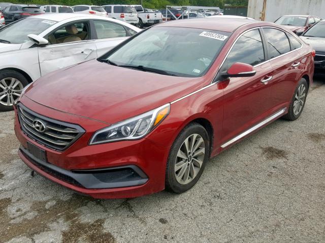 5NPE34AF7FH111812 - 2015 HYUNDAI SONATA SPO MAROON photo 2