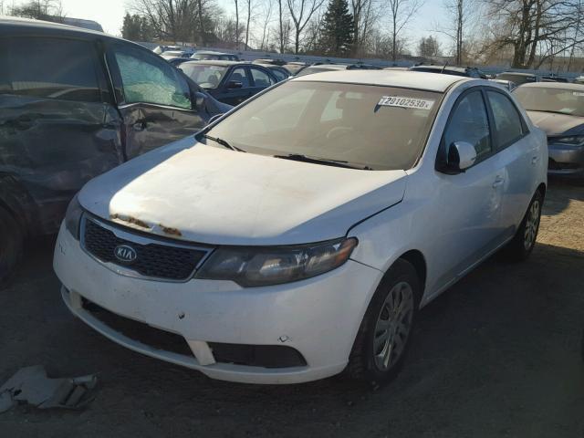 KNAFU4A21D5719995 - 2013 KIA FORTE EX WHITE photo 2