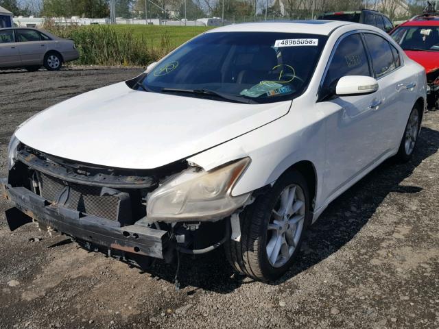 1N4AA5AP5AC858094 - 2010 NISSAN MAXIMA S WHITE photo 2