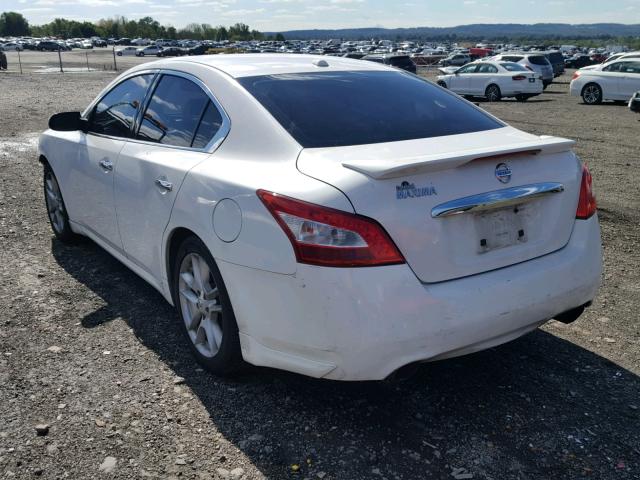 1N4AA5AP5AC858094 - 2010 NISSAN MAXIMA S WHITE photo 3