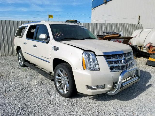 1GYUKKEF9AR195477 - 2010 CADILLAC ESCALADE E WHITE photo 1