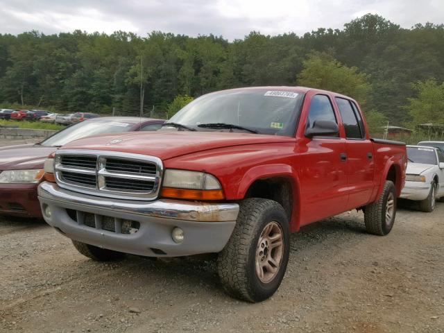 1D7HG48N74S627123 - 2004 DODGE DAKOTA QUA RED photo 2