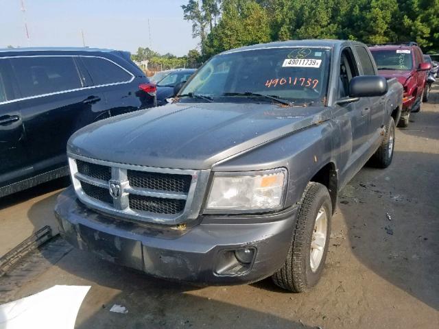 1D7HW48N28S534597 - 2008 DODGE DAKOTA QUA GRAY photo 2