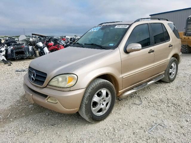 4JGAB57E24A512500 - 2004 MERCEDES-BENZ ML 350 GOLD photo 2