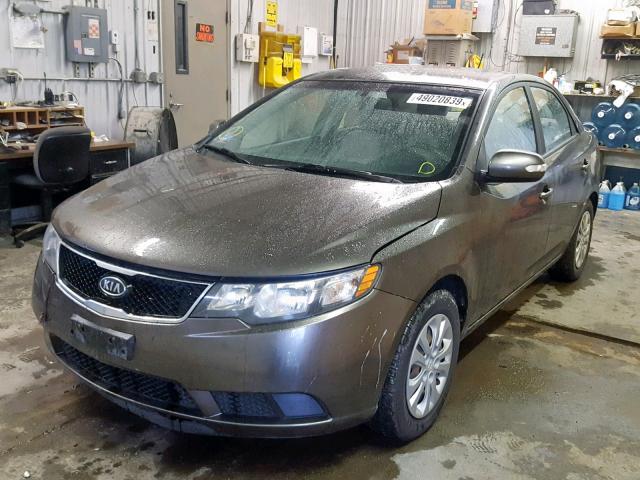 KNAFU4A25A5806987 - 2010 KIA FORTE EX BROWN photo 2