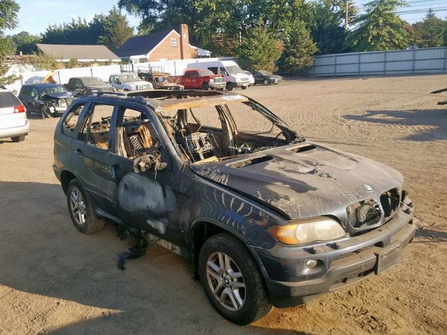 5UXFA13546LY27462 - 2006 BMW X5 3.0I BLUE photo 10