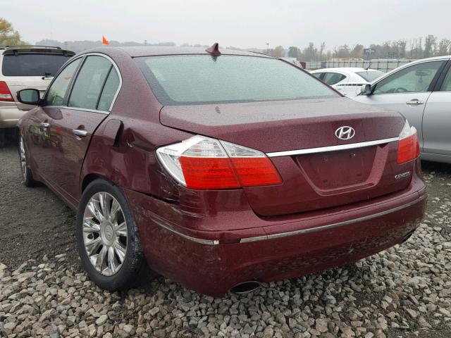 KMHGC46E99U017025 - 2009 HYUNDAI GENESIS 3. MAROON photo 3