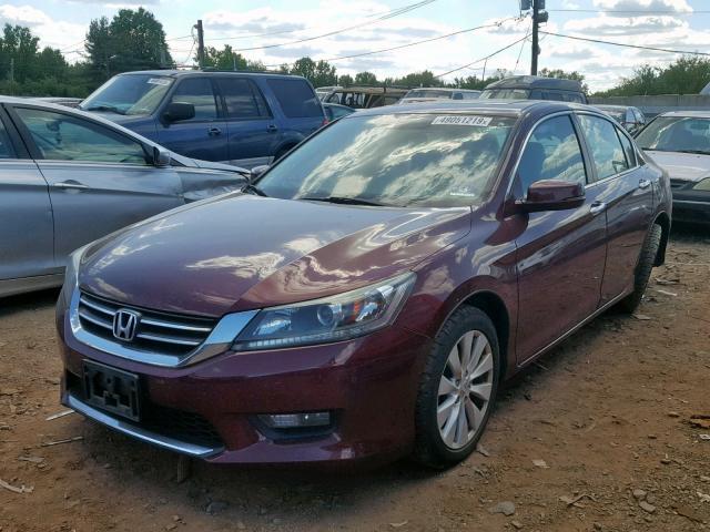 1HGCR2F86EA165453 - 2014 HONDA ACCORD EXL BURGUNDY photo 2