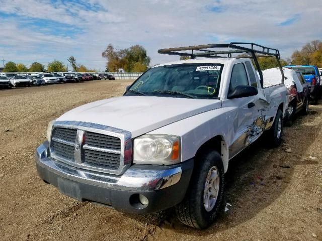 1D7HW42N95S235970 - 2005 DODGE DAKOTA SLT WHITE photo 2