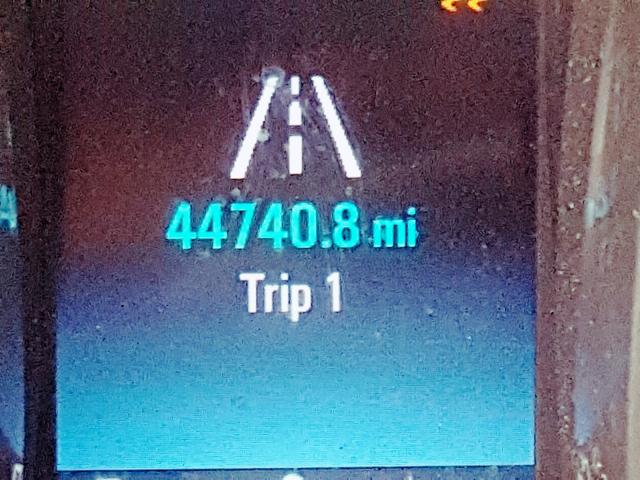 1G11A5SL0EF188618 - 2014 CHEVROLET MALIBU LS თაფლისფერი ფოტო 8