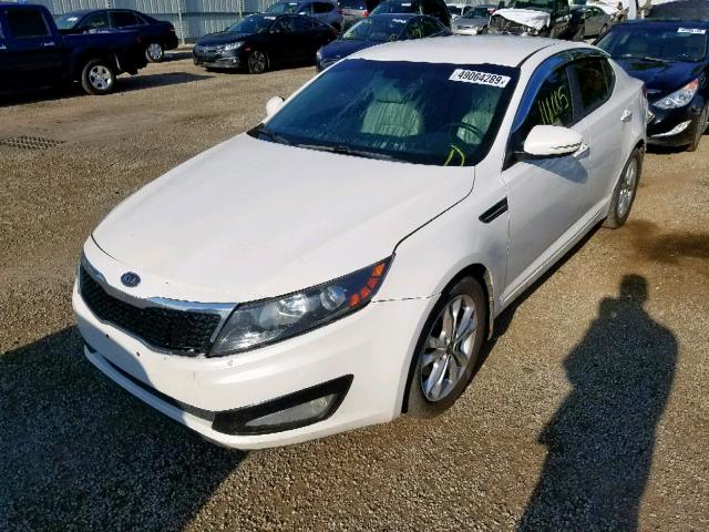 KNAGN4A72B5059766 - 2011 KIA OPTIMA EX WHITE photo 2