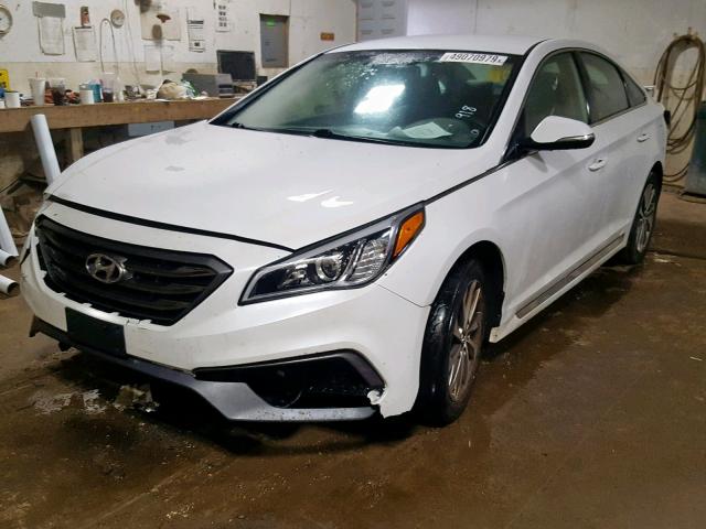 5NPE34AF8GH280819 - 2016 HYUNDAI SONATA SPO WHITE photo 2