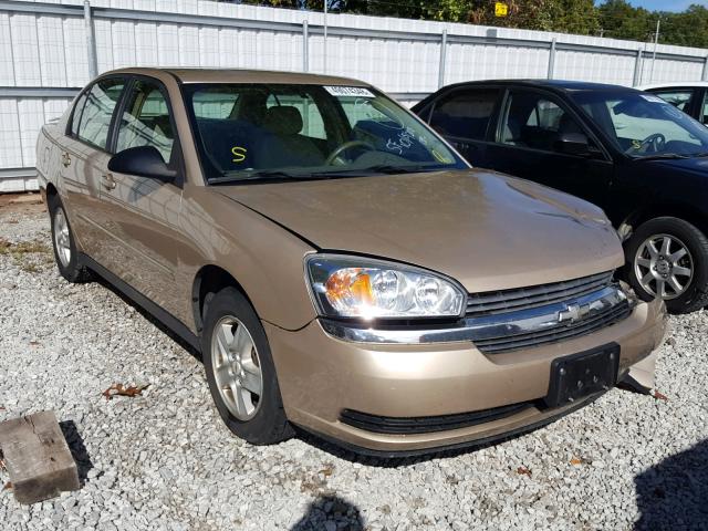 1G1ZT54895F223209 - 2005 CHEVROLET MALIBU LS 金色 照片 1
